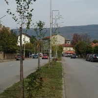 145 фиданки засаждат в Севлиево