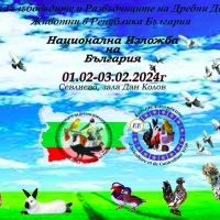 СЕВЛИЕВО Е ДОМАКИН НА НАЦИОНАЛНА ИЗЛОЖБА НА ПТИЦИ