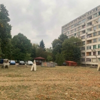 ОБЩИНАТА УДЪЛЖИ СРОКА ЗА ПРЕМАХВАНЕТО НА НЕЗАКОННИТЕ ПОСТРОЙКИ В Ж.К. “Д-Р АТАНАС МОСКОВ”
